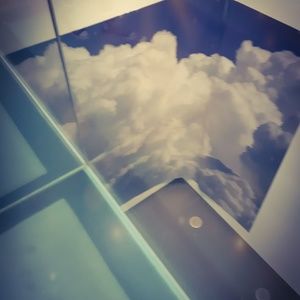 Meet your Posher, Rowan